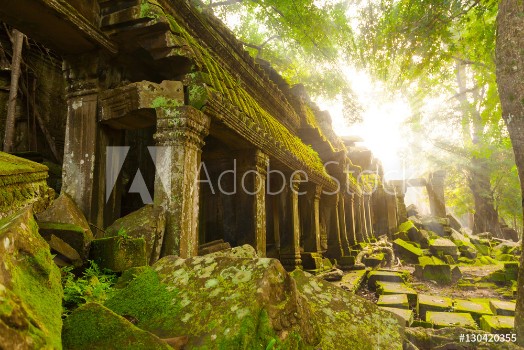 Bild på Ancient Ta Prohm Temple in the morning sun rays Angkor Cambodia Ruin